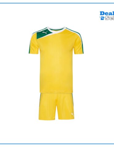 PUMA Spirit Herren Trikot-Set 653763-11
