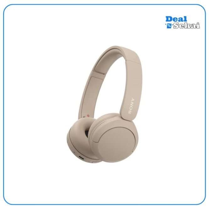 SONY WHCH520 On-Ear-Kopfhörer